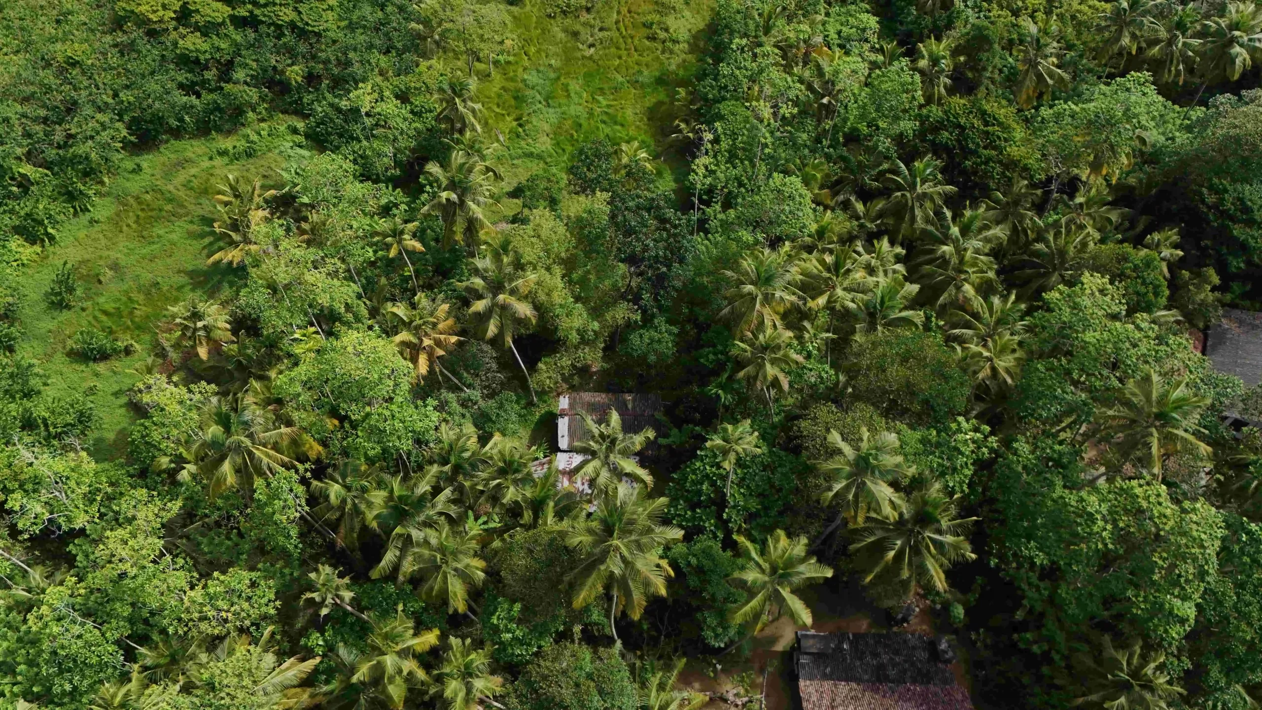 Gonnagahahena image 4