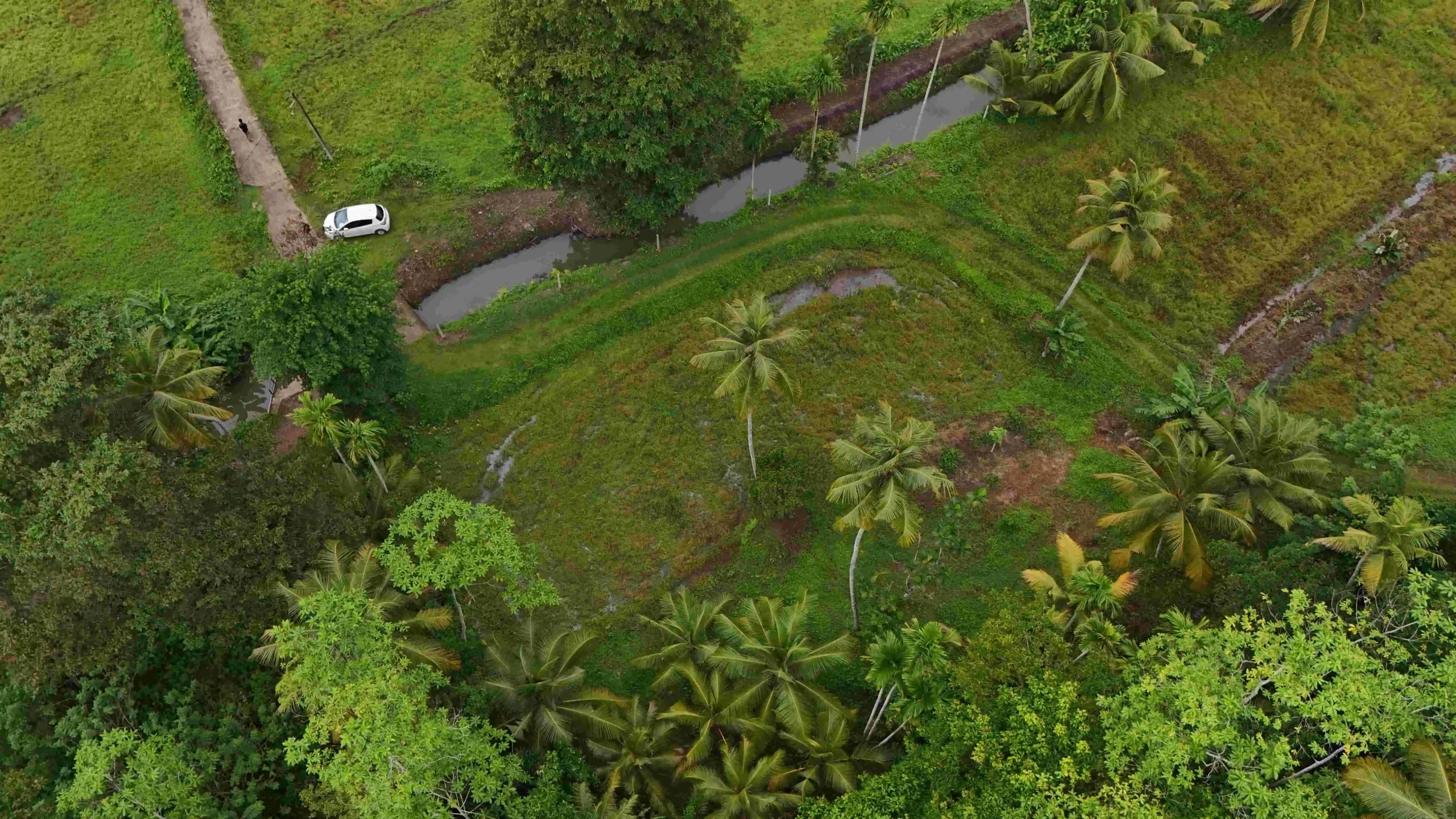 Gonnagahahena image 4