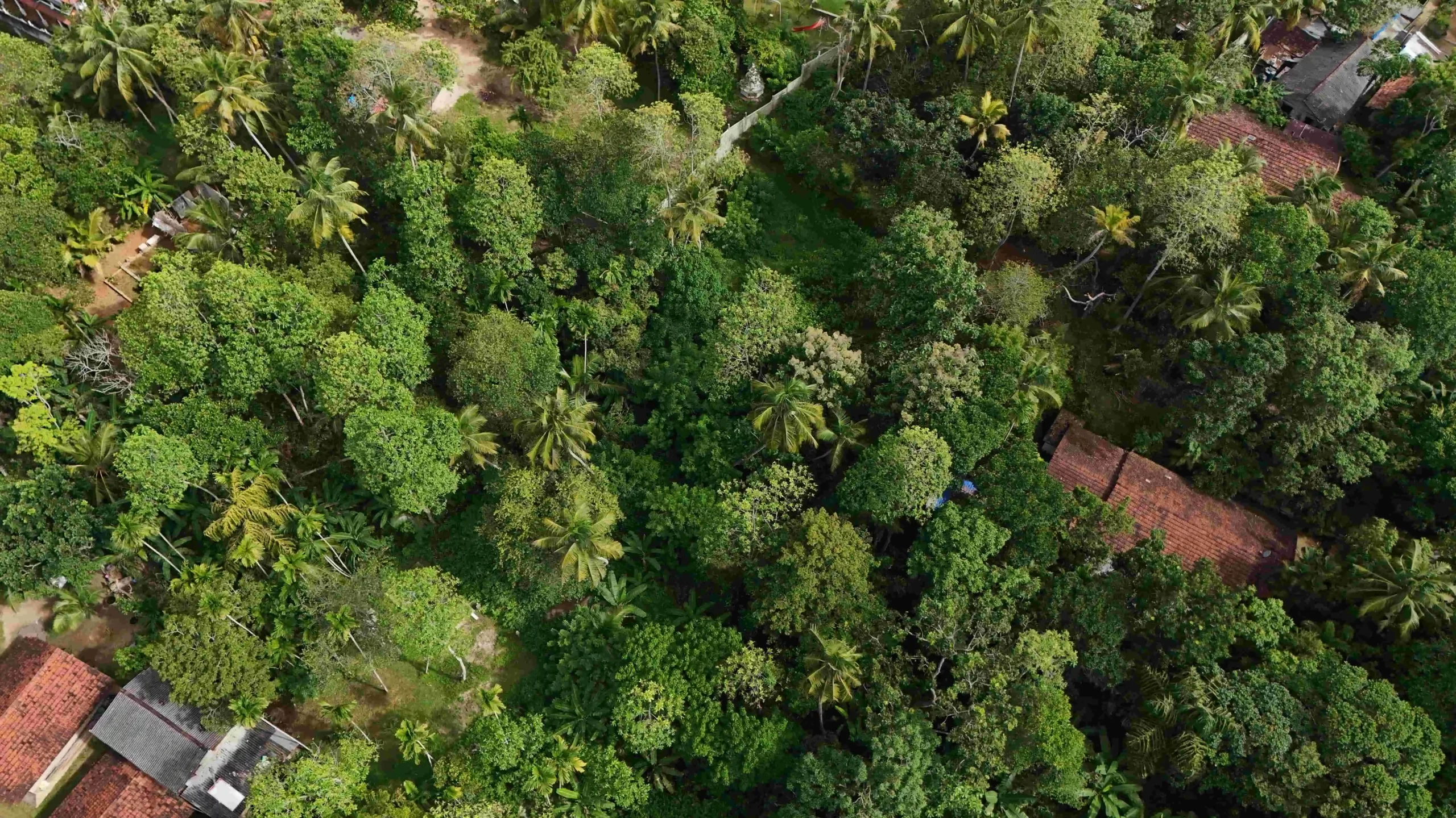 Gonnagahahena image 2