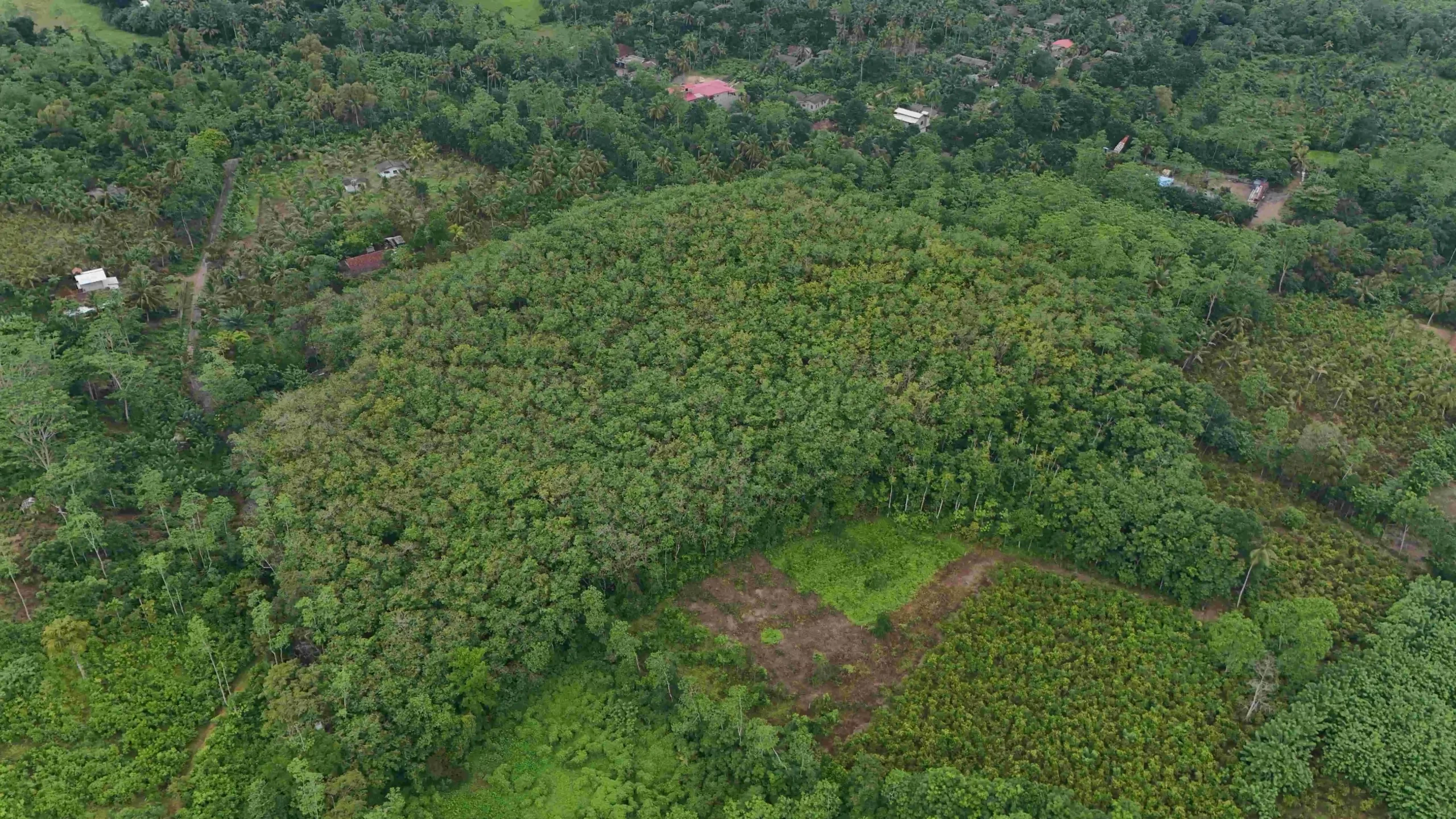 Ibbawala, Ahangama image 3