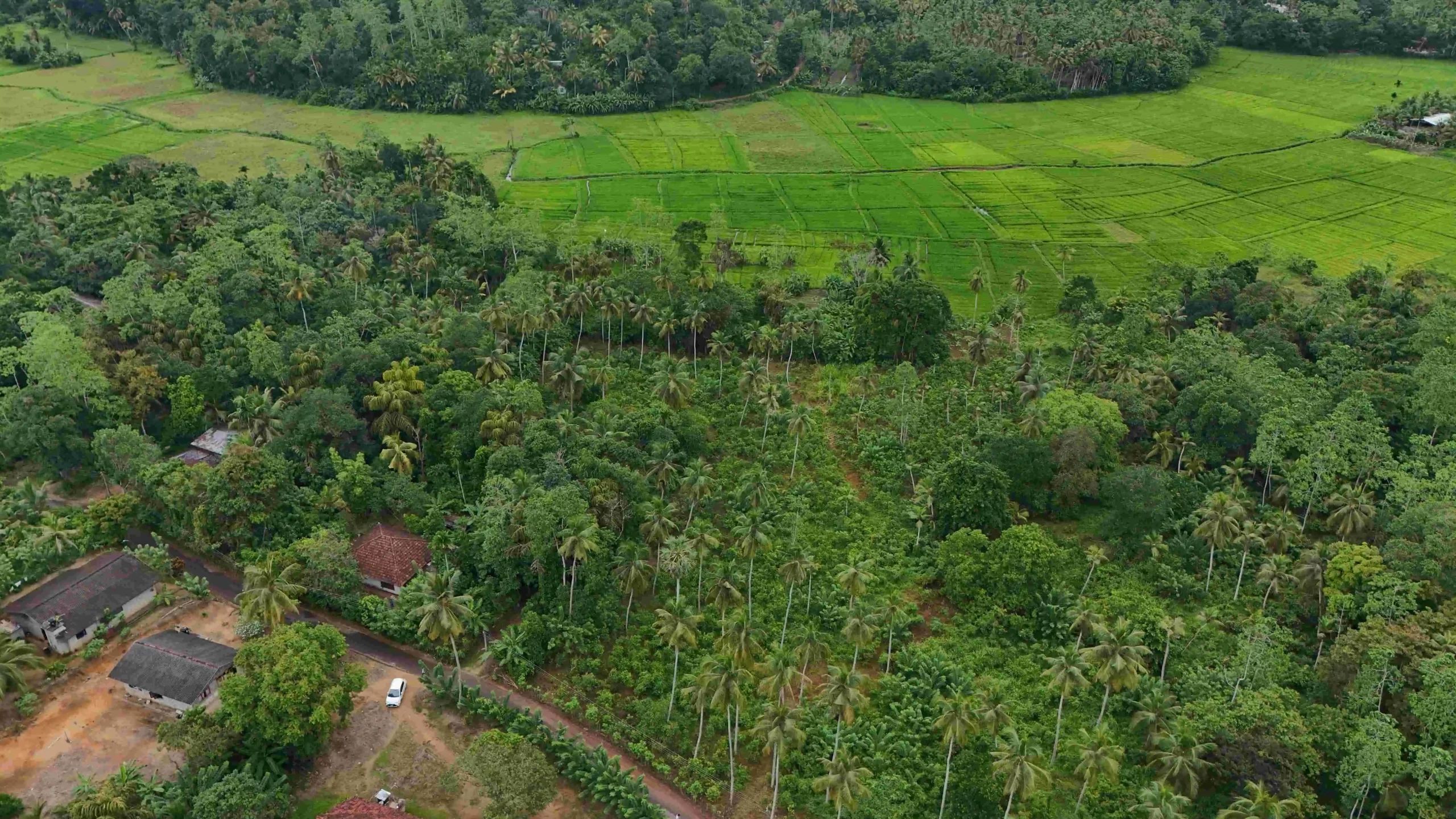 Ibbawala, Ahangama image 3