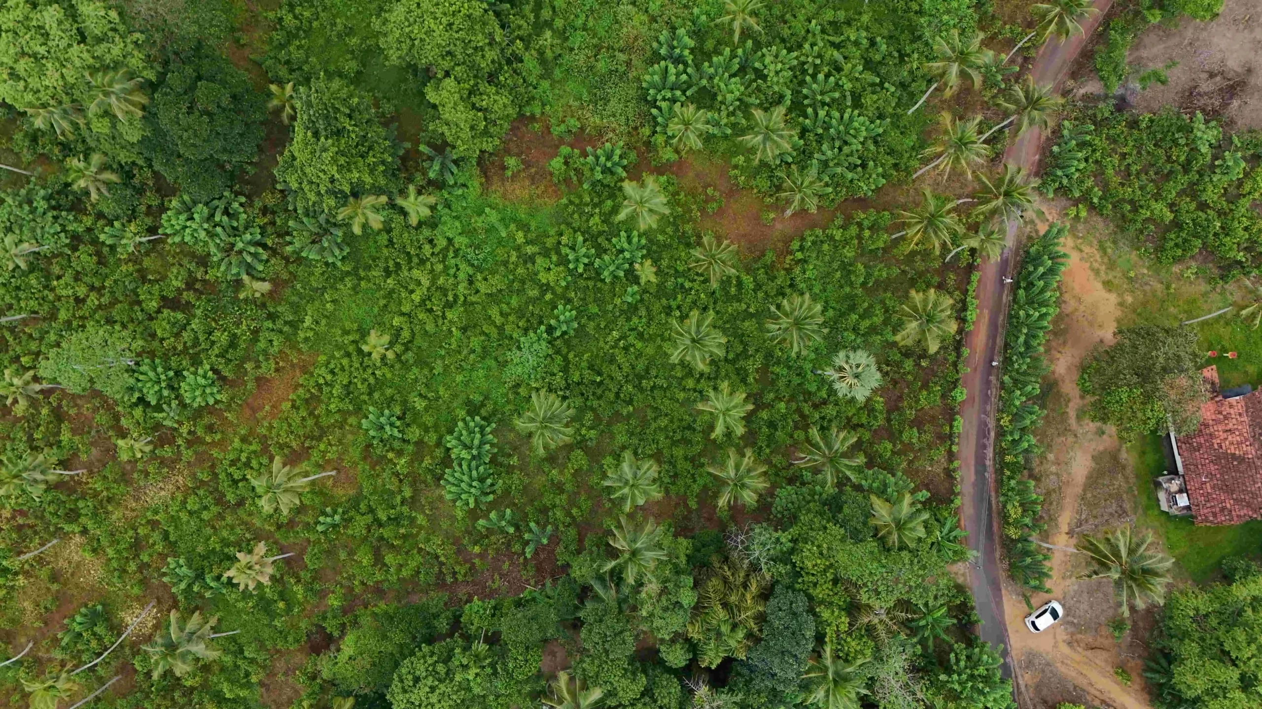 Ibbawala, Ahangama image 4