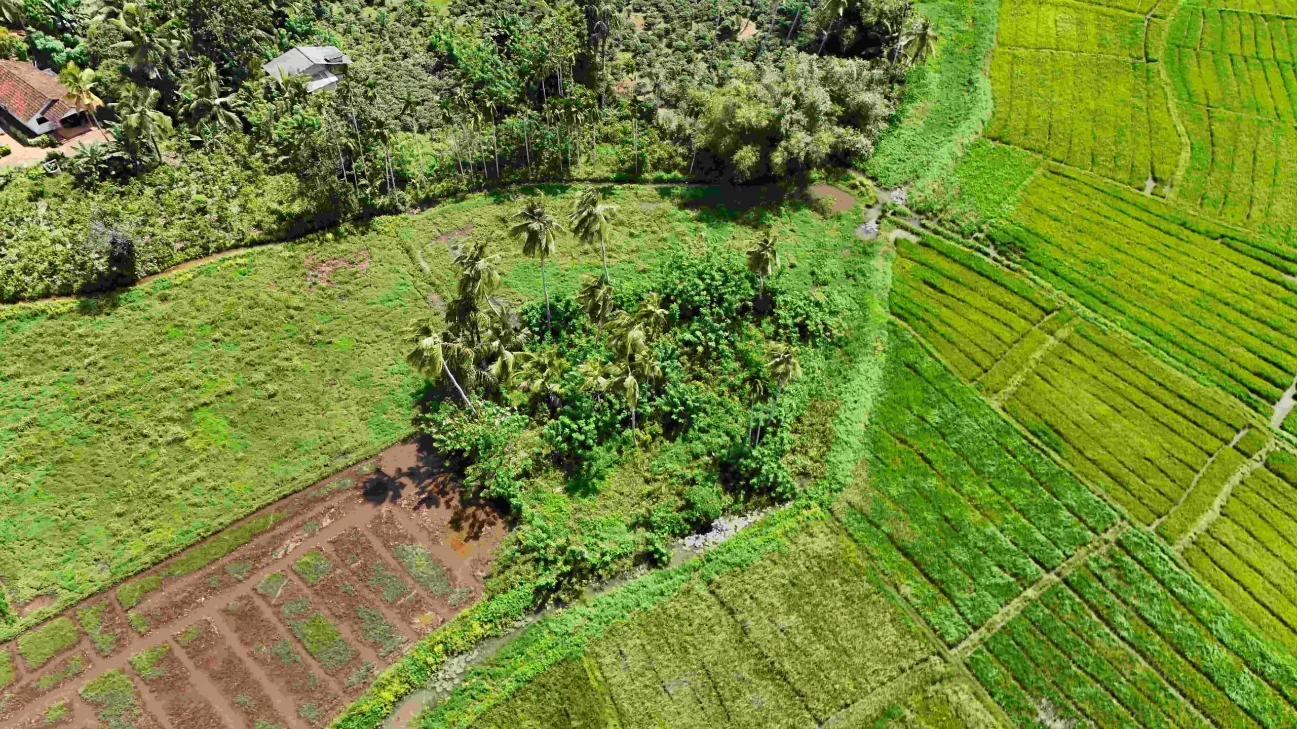 Gonnagahahena image 3