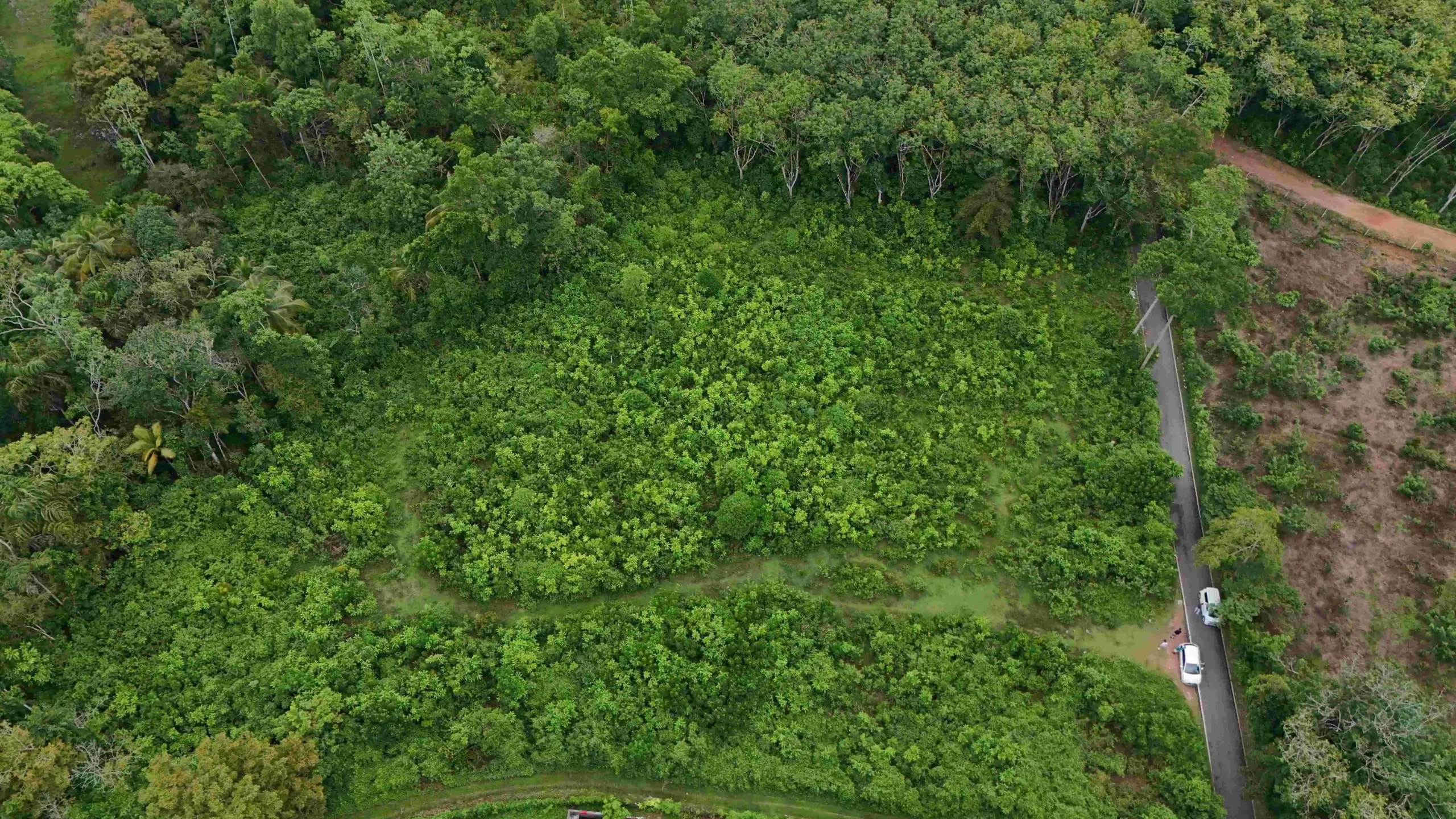 Gonnagahahena image 2