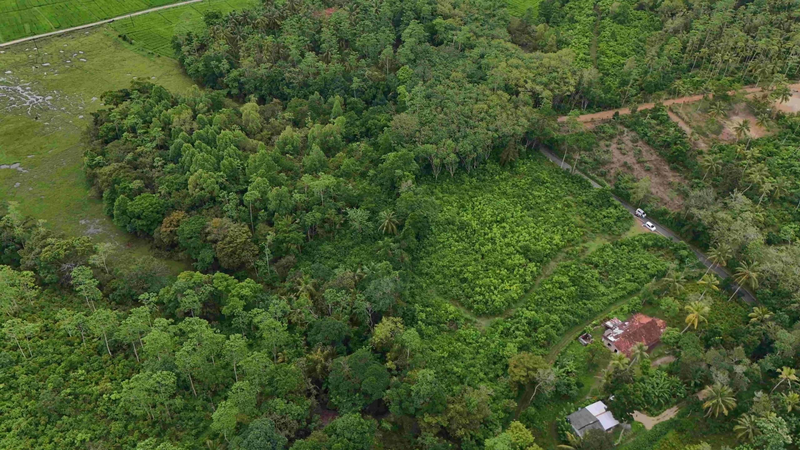 Gonnagahahena image 3