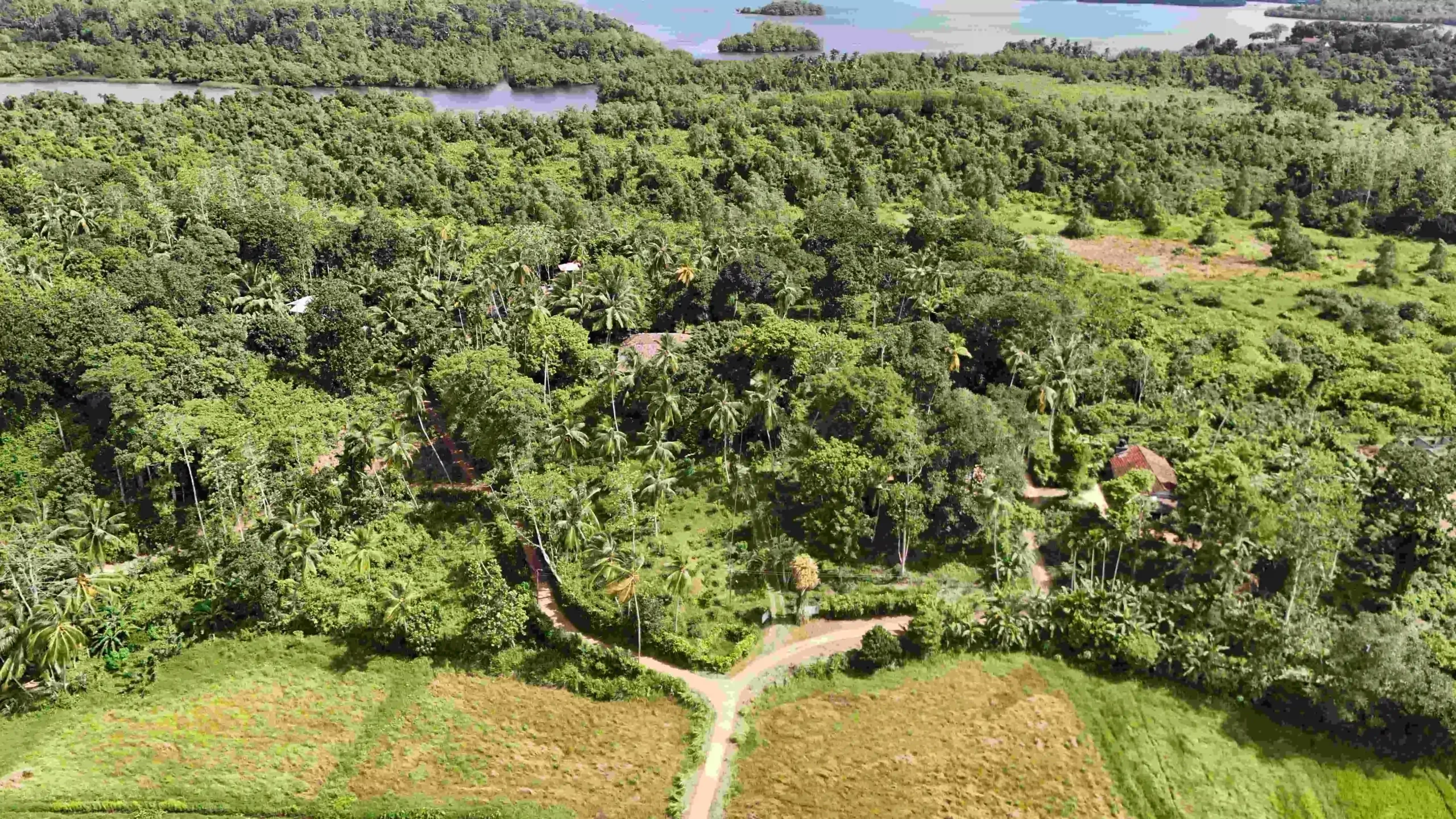 Gonnagahahena image 3