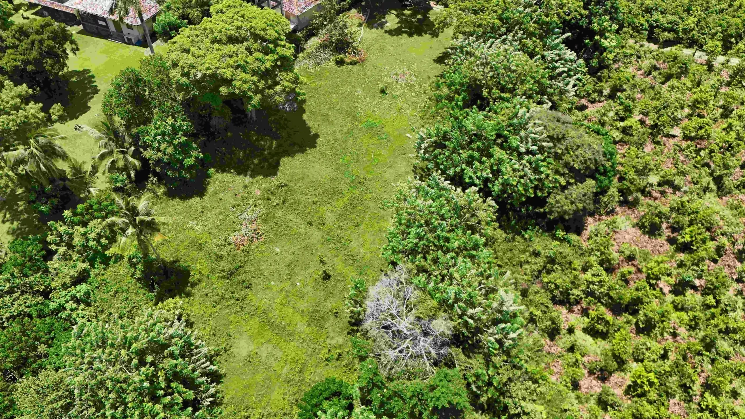 Gonnagahahena image 3