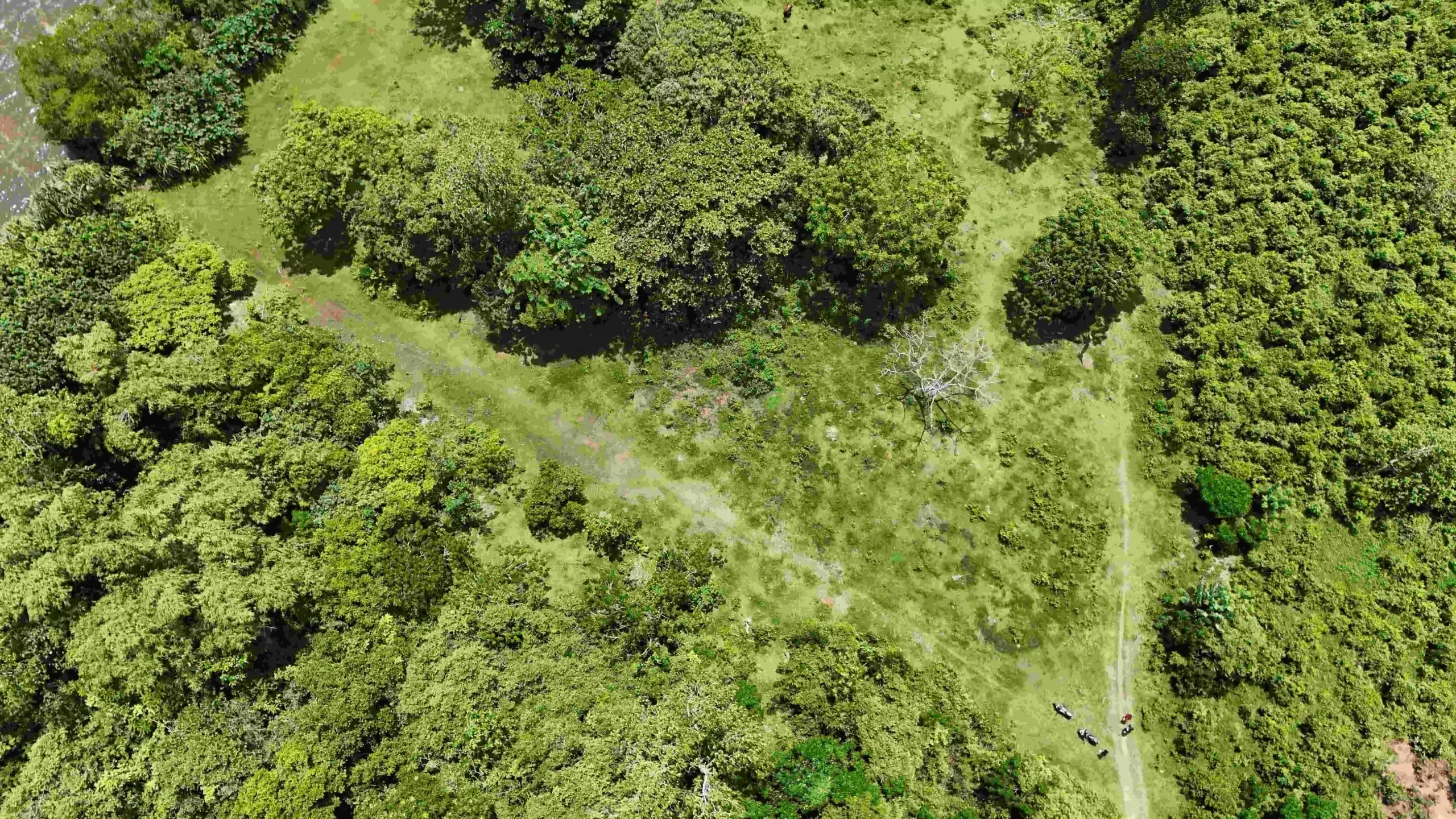 Gonnagahahena image 4