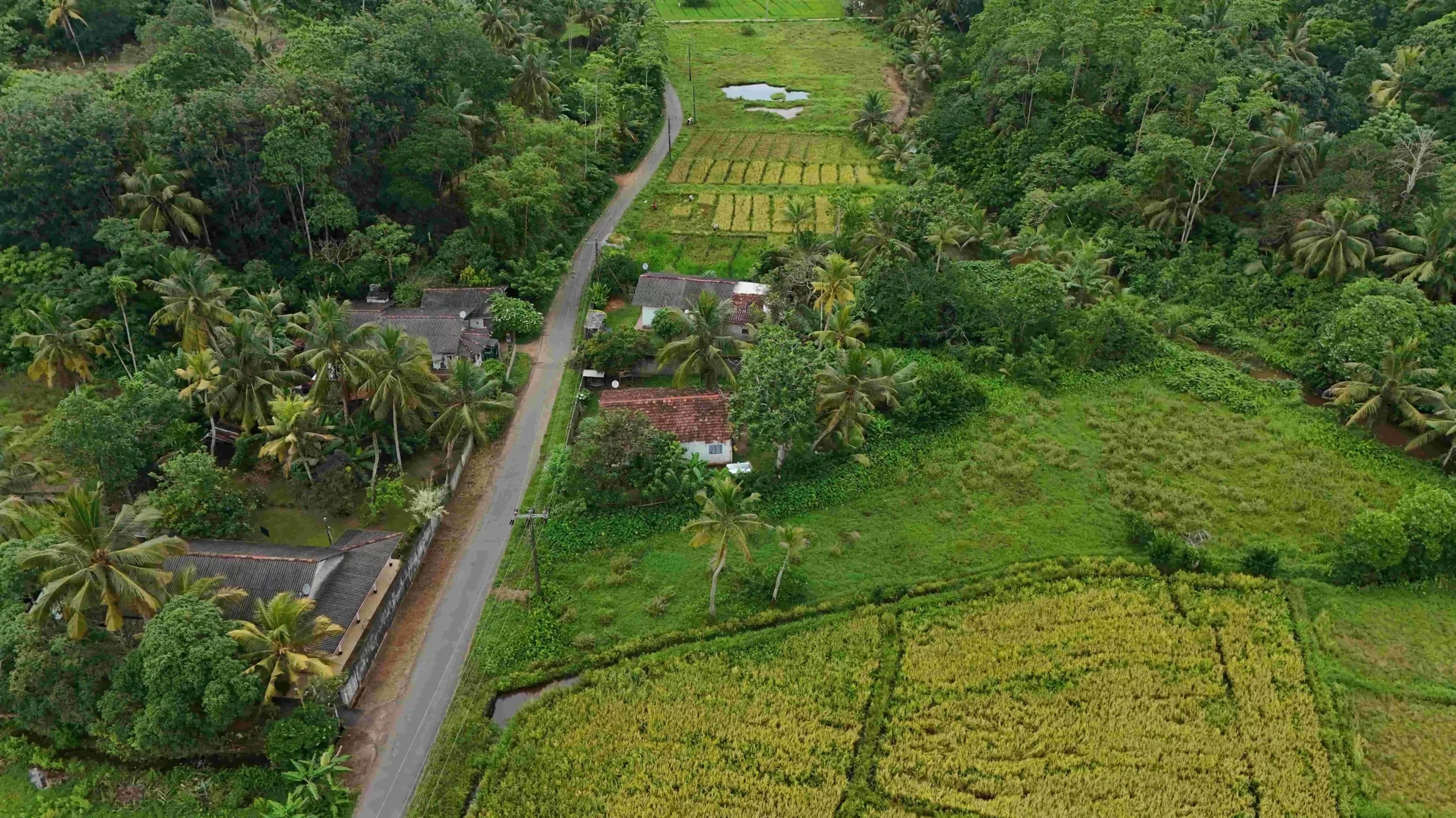 Gonnagahahena image 2