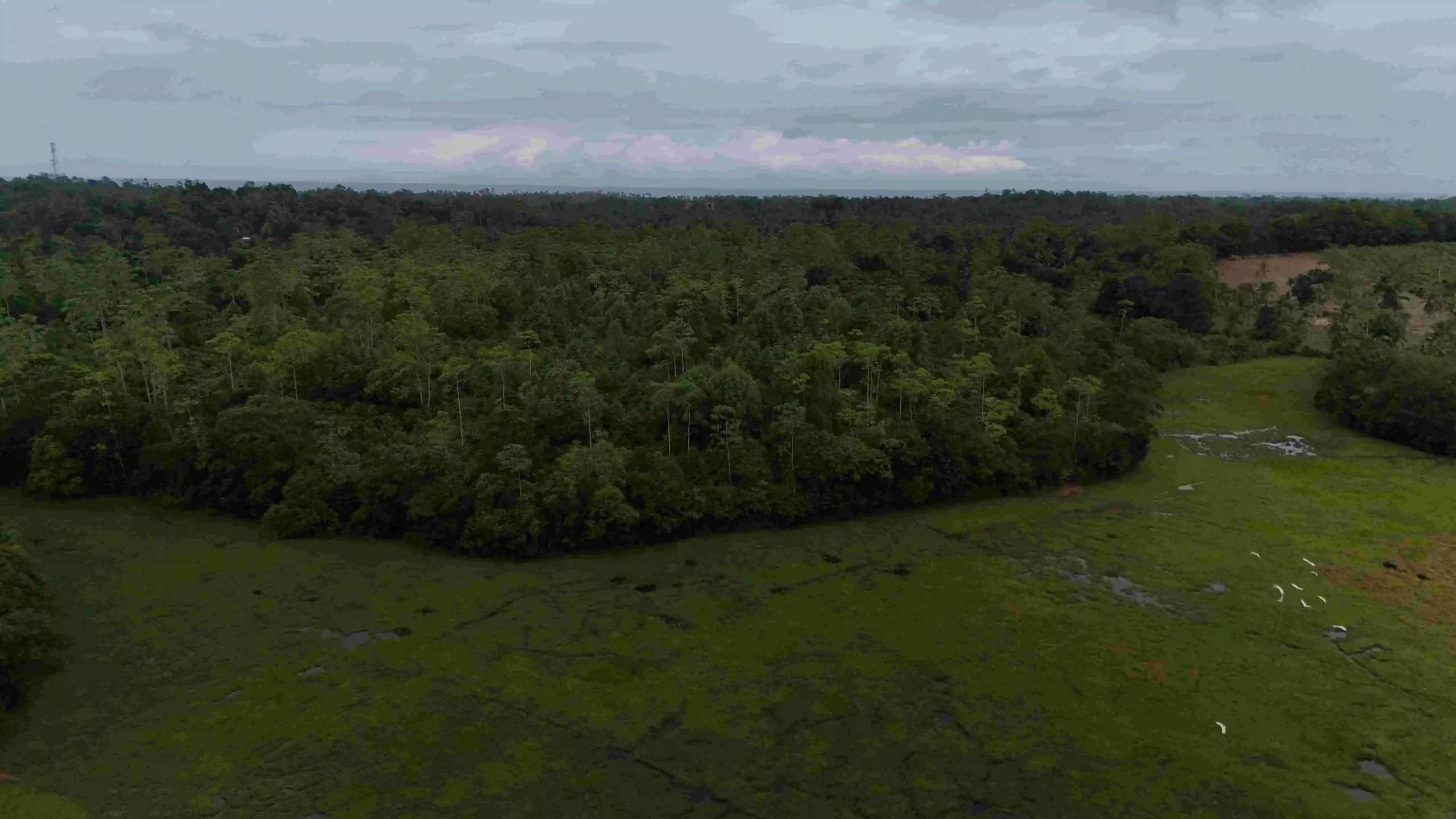 Gonnagahahena image 2