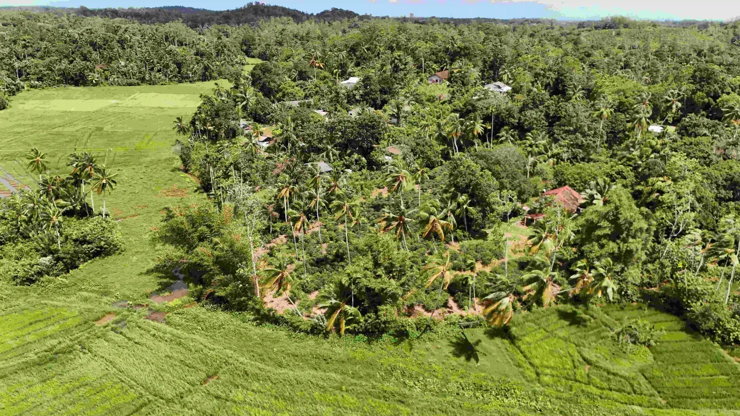 Gonnagahahena image 3