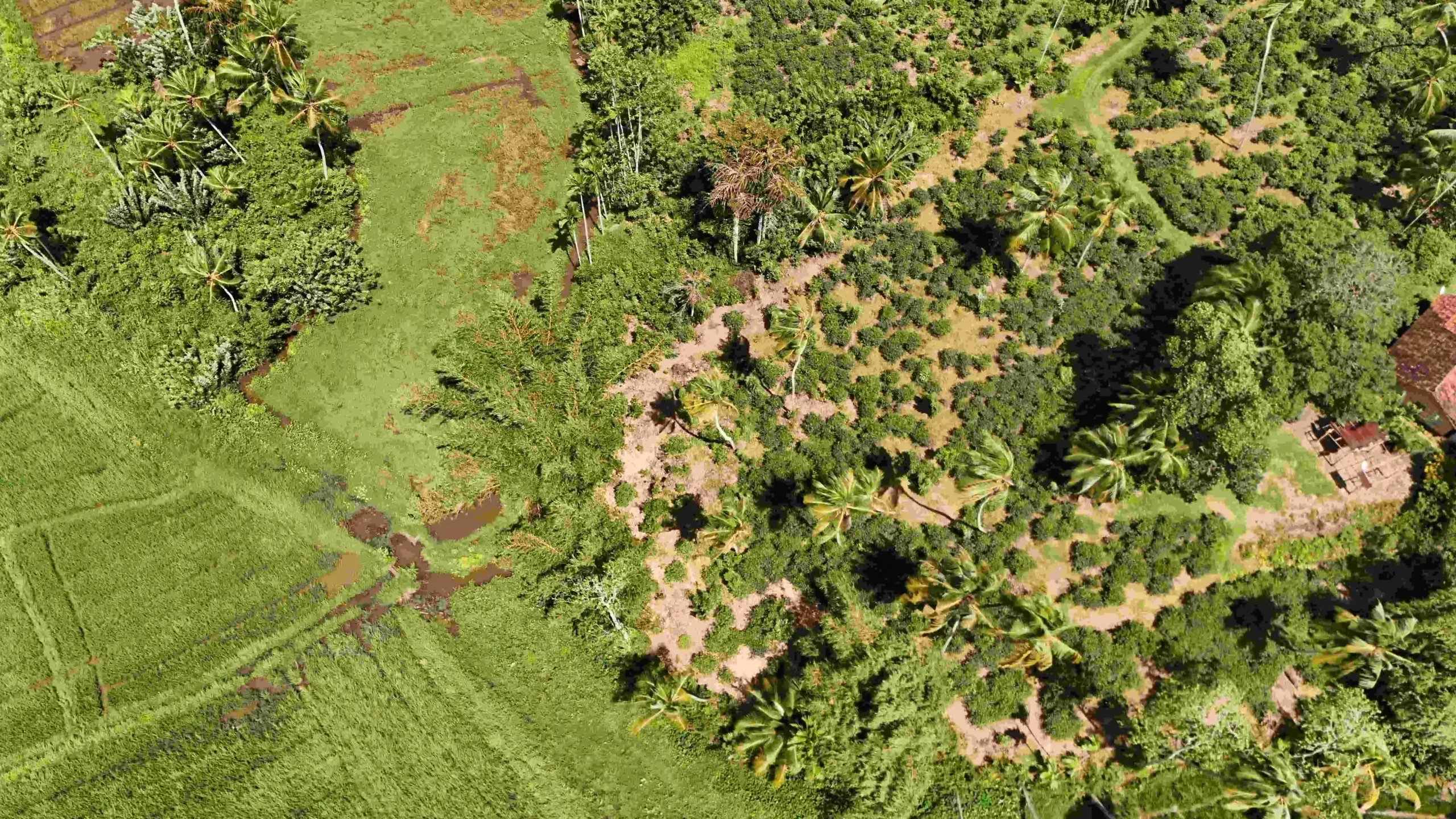 Gonnagahahena image 4