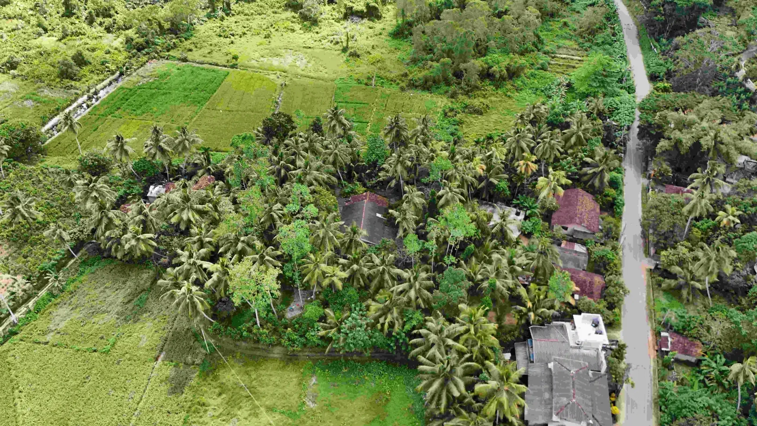 Gonnagahahena image 2