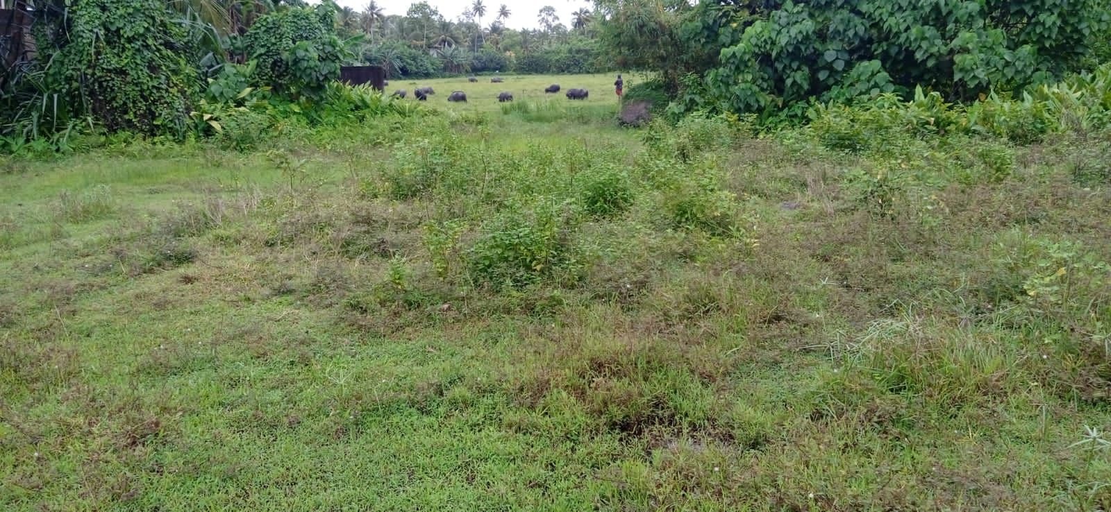 Kabalana Beachside Haven