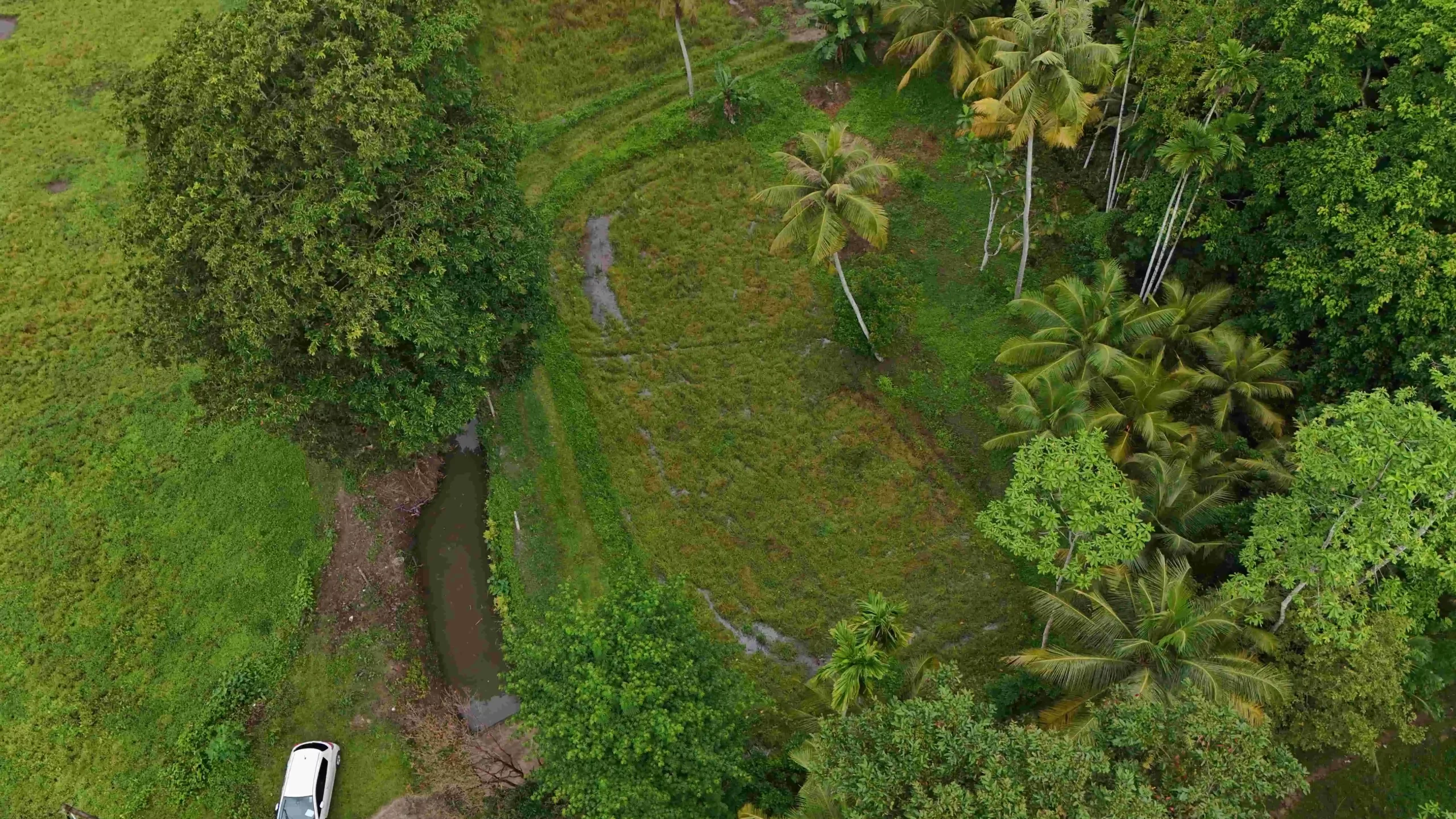 Gonnagahahena Greenscape