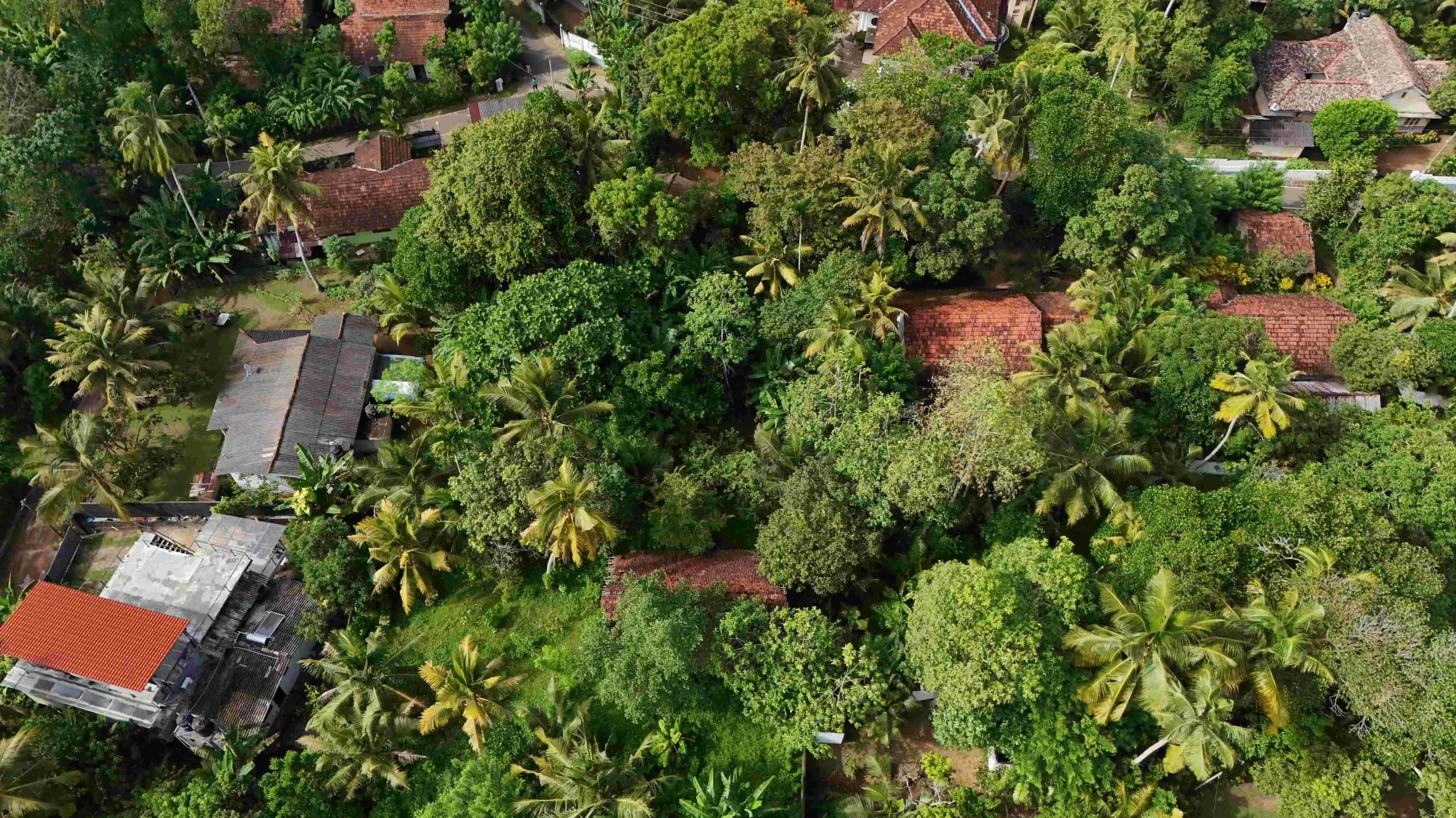 Gonnagahahena image 2