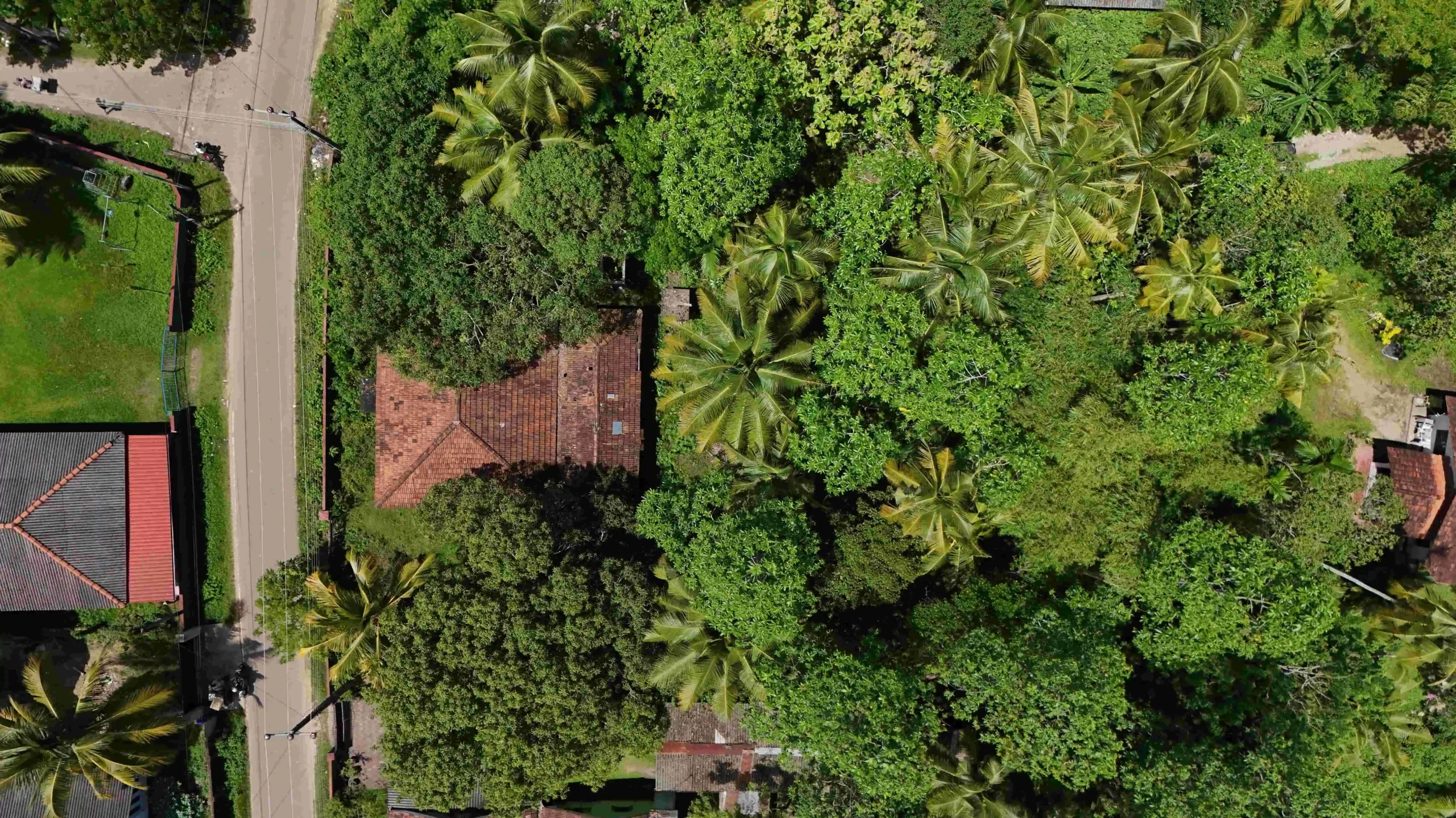 Gonnagahahena image 3